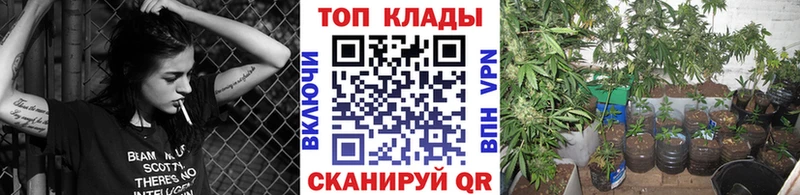 Названия наркотиков Волгодонск КОКАИН Гашиш MDMA Каннабис Alpha PVP