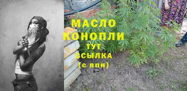 тгк Гусь-Хрустальный